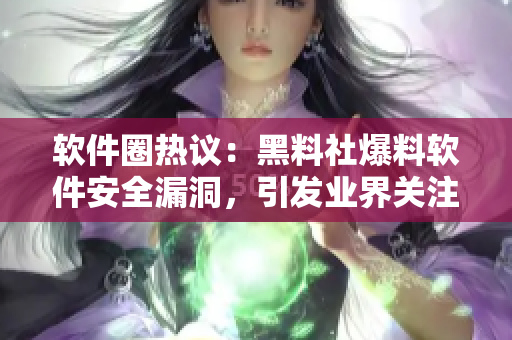 軟件圈熱議：黑料社爆料軟件安全漏洞，引發(fā)業(yè)界關(guān)注