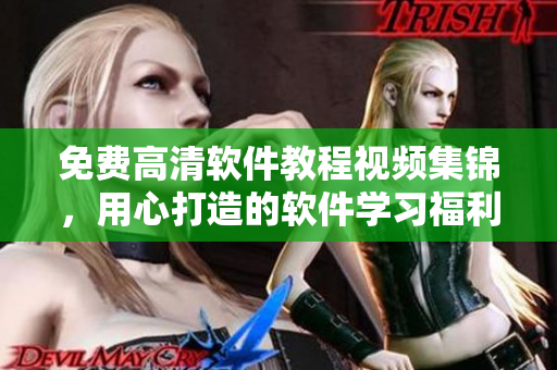 免費高清軟件教程視頻集錦，用心打造的軟件學(xué)習(xí)福利