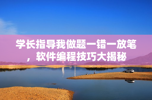 學(xué)長指導(dǎo)我做題一錯一放筆，軟件編程技巧大揭秘
