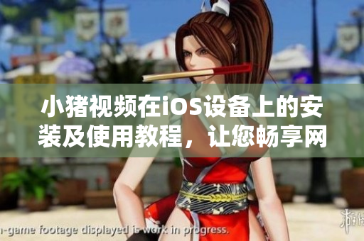 小豬視頻在iOS設備上的安裝及使用教程，讓您暢享網(wǎng)絡視頻新體驗