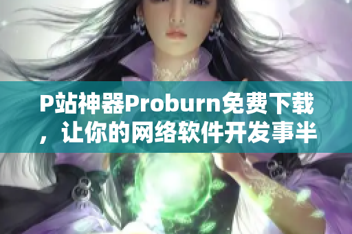 P站神器Proburn免費下載，讓你的網(wǎng)絡軟件開發(fā)事半功倍