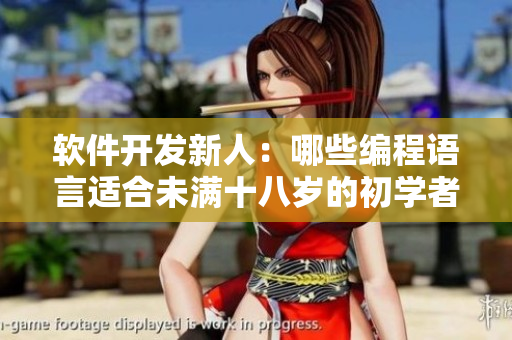 軟件開發(fā)新人：哪些編程語言適合未滿十八歲的初學(xué)者？