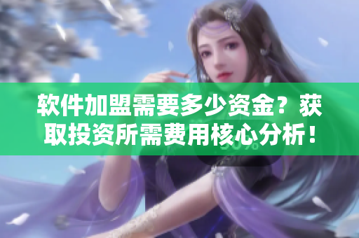 軟件加盟需要多少資金？獲取投資所需費用核心分析！