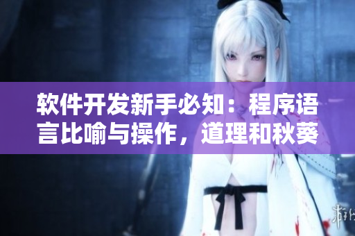 軟件開發(fā)新手必知：程序語言比喻與操作，道理和秋葵一樣重要！