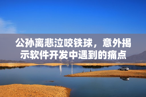 公孫離悲泣咬鐵球，意外揭示軟件開發(fā)中遇到的痛點