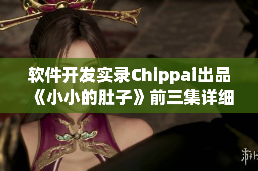 軟件開發(fā)實(shí)錄Chippai出品《小小的肚子》前三集詳細(xì)解析