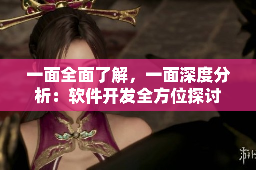 一面全面了解，一面深度分析：軟件開發(fā)全方位探討