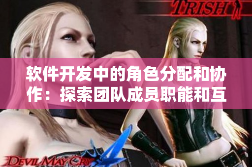 軟件開發(fā)中的角色分配和協(xié)作：探索團隊成員職能和互動方式