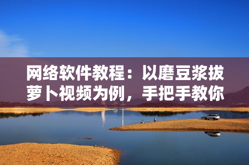 網(wǎng)絡(luò)軟件教程：以磨豆?jié){拔蘿卜視頻為例，手把手教你編寫(xiě)高效軟件！
