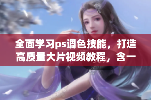 全面學(xué)習(xí)ps調(diào)色技能，打造高質(zhì)量大片視頻教程，含一級二級教程。