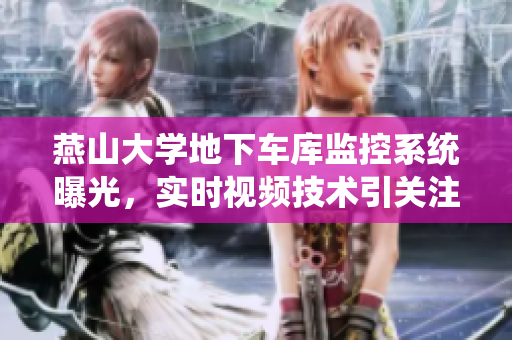 燕山大學(xué)地下車庫監(jiān)控系統(tǒng)曝光，實時視頻技術(shù)引關(guān)注