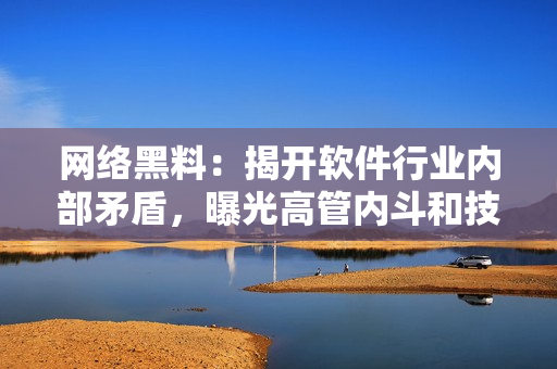 網絡黑料：揭開軟件行業(yè)內部矛盾，曝光高管內斗和技術抄襲事件