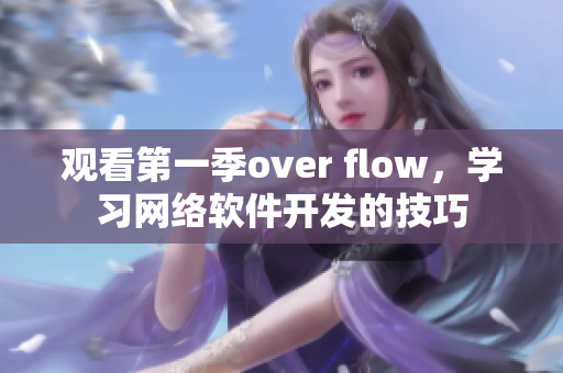 觀看第一季over flow，學(xué)習(xí)網(wǎng)絡(luò)軟件開發(fā)的技巧