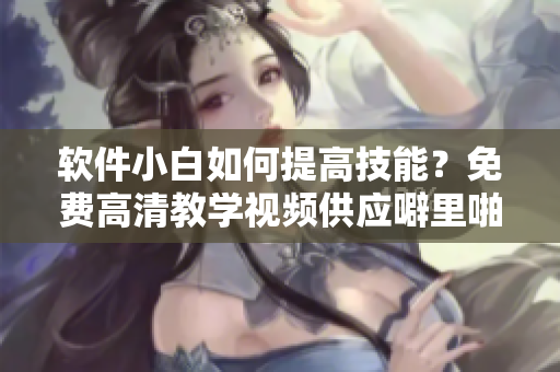 軟件小白如何提高技能？免費(fèi)高清教學(xué)視頻供應(yīng)噼里啪啦