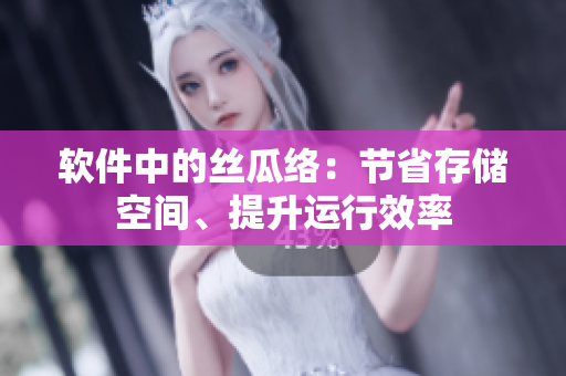 軟件中的絲瓜絡：節(jié)省存儲空間、提升運行效率