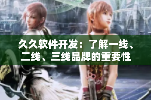 久久軟件開發(fā)：了解一線、二線、三線品牌的重要性