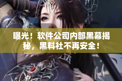 曝光！軟件公司內(nèi)部黑幕揭秘，黑料社不再安全！
