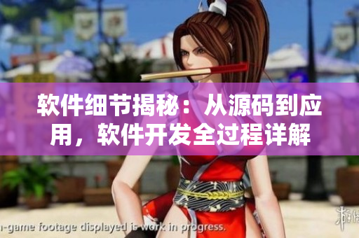 軟件細(xì)節(jié)揭秘：從源碼到應(yīng)用，軟件開(kāi)發(fā)全過(guò)程詳解