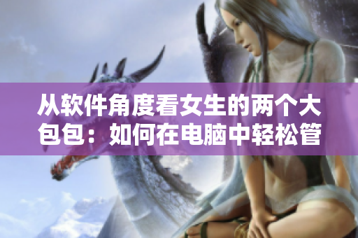 從軟件角度看女生的兩個大包包：如何在電腦中輕松管理和整理？