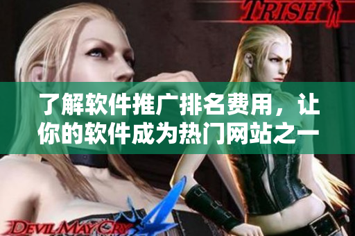 了解軟件推廣排名費用，讓你的軟件成為熱門網(wǎng)站之一！