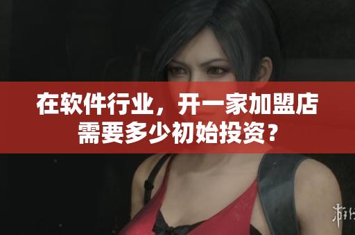 在軟件行業(yè)，開一家加盟店需要多少初始投資？