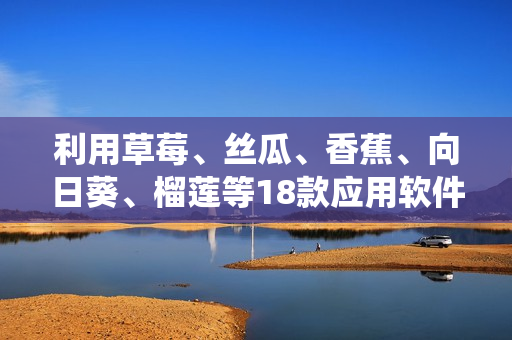 利用草莓、絲瓜、香蕉、向日葵、榴蓮等18款應(yīng)用軟件構(gòu)建高效網(wǎng)絡(luò)系統(tǒng)