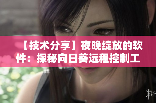 【技術(shù)分享】夜晚綻放的軟件：探秘向日葵遠(yuǎn)程控制工具的內(nèi)涵