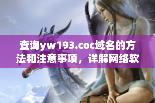查詢yw193.coc域名的方法和注意事項，詳解網(wǎng)絡(luò)軟件域名查詢