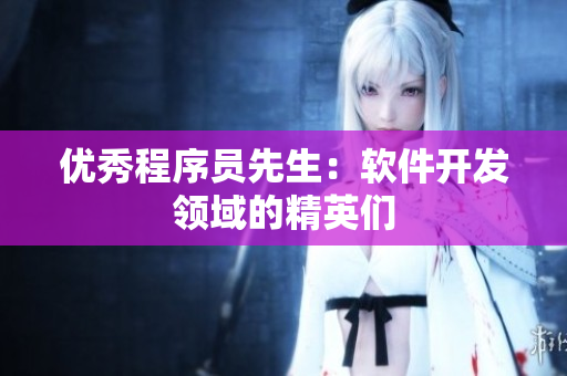 優(yōu)秀程序員先生：軟件開發(fā)領(lǐng)域的精英們