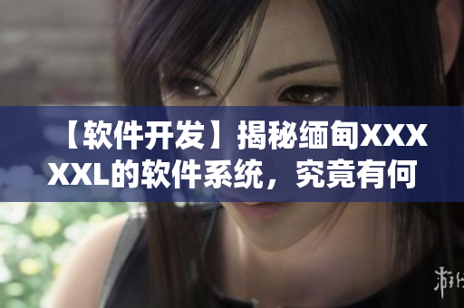 【軟件開發(fā)】揭秘緬甸XXXXXL的軟件系統(tǒng)，究竟有何獨特之處？