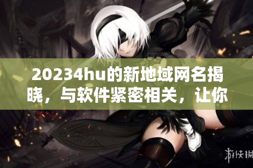 20234hu的新地域網(wǎng)名揭曉，與軟件緊密相關(guān)，讓你的網(wǎng)絡世界更加安全高效！