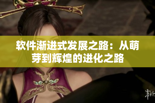 軟件漸進(jìn)式發(fā)展之路：從萌芽到輝煌的進(jìn)化之路