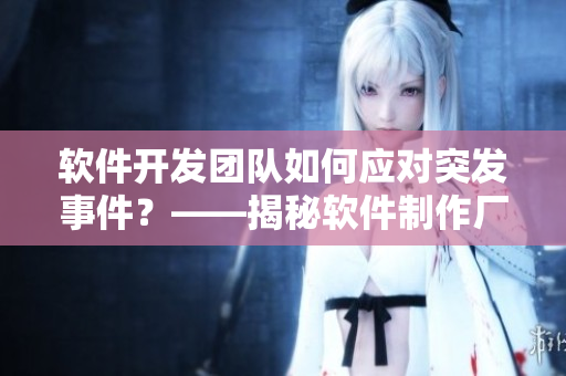 軟件開發(fā)團(tuán)隊如何應(yīng)對突發(fā)事件？——揭秘軟件制作廠應(yīng)對緊急情況的奧秘