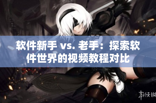 軟件新手 vs. 老手：探索軟件世界的視頻教程對(duì)比