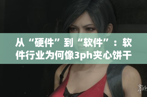 從“硬件”到“軟件”：軟件行業(yè)為何像3ph夾心餅干一樣重要？