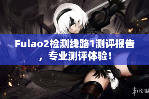 Fulao2檢測(cè)線路1測(cè)評(píng)報(bào)告，專業(yè)測(cè)評(píng)體驗(yàn)！