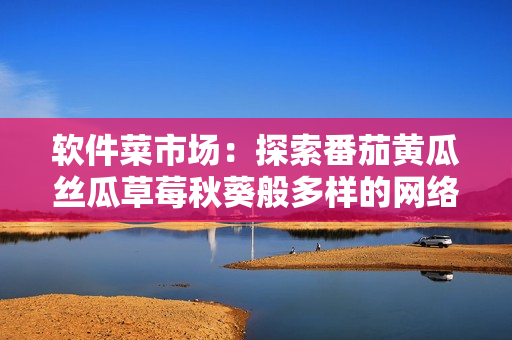 軟件菜市場：探索番茄黃瓜絲瓜草莓秋葵般多樣的網(wǎng)絡(luò)軟件選擇