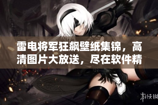 雷電將軍狂飆壁紙集錦，高清圖片大放送，盡在軟件精選！