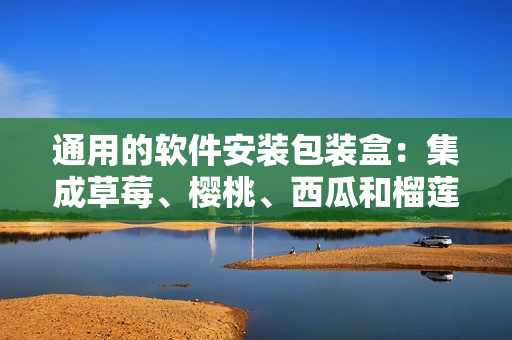 通用的軟件安裝包裝盒：集成草莓、櫻桃、西瓜和榴蓮的多功能一體盒