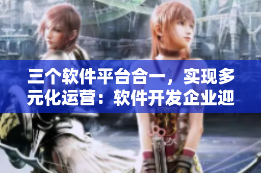 三個軟件平臺合一，實現(xiàn)多元化運營：軟件開發(fā)企業(yè)迎來大團圓