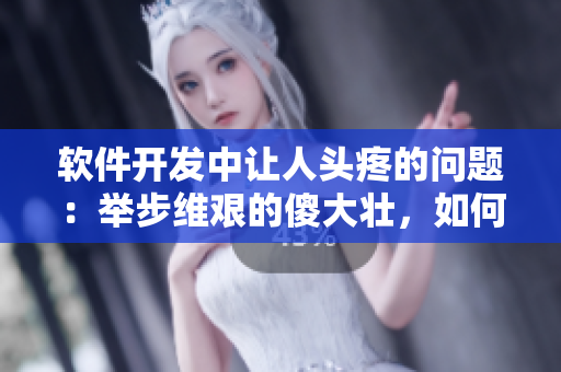 軟件開(kāi)發(fā)中讓人頭疼的問(wèn)題：舉步維艱的傻大壯，如何解決？