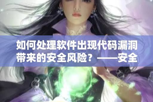 如何處理軟件出現(xiàn)代碼漏洞帶來的安全風(fēng)險？——安全加固與修復(fù)策略