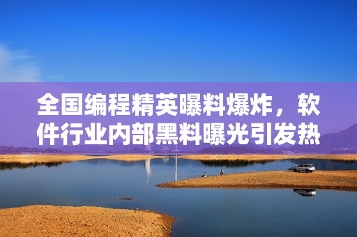 全國(guó)編程精英曝料爆炸，軟件行業(yè)內(nèi)部黑料曝光引發(fā)熱議