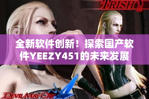 全新軟件創(chuàng)新！探索國(guó)產(chǎn)軟件YEEZY451的未來(lái)發(fā)展