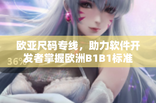 歐亞尺碼專線，助力軟件開發(fā)者掌握歐洲B1B1標(biāo)準(zhǔn)