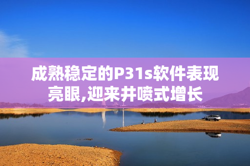成熟穩(wěn)定的P31s軟件表現(xiàn)亮眼,迎來井噴式增長(zhǎng)
