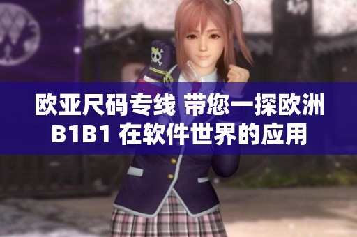 歐亞尺碼專線 帶您一探歐洲B1B1 在軟件世界的應用