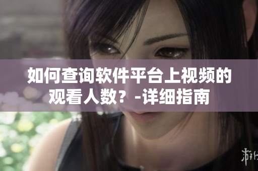 如何查詢軟件平臺上視頻的觀看人數(shù)？-詳細指南