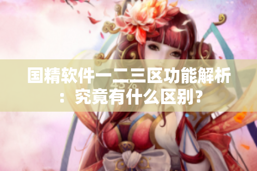 國(guó)精軟件一二三區(qū)功能解析：究竟有什么區(qū)別？