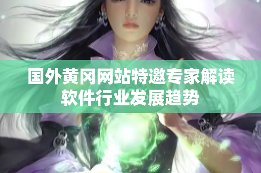 國(guó)外黃岡網(wǎng)站特邀專家解讀軟件行業(yè)發(fā)展趨勢(shì)
